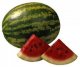 watermelon usda Nutrition info