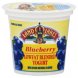yogurt blended, lowfat, blueberry