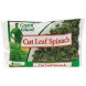 plain cut leaf spinach