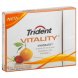 vitality gum sugar free, soft center, vigorate