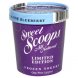 frozen yogurt limited edition, wild maine blueberry