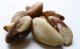 Bulk Foods brazil nuts Calories