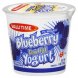 yogurt low fat, blueberry