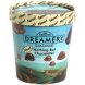 dreamery ice cream, nothing but chocolate