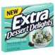 dessert delights gum sugarfree, mint chocolate chip Extra Nutrition info
