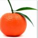 tangerine 1 med