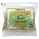 food you feel good about bean sprouts fresh