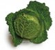cabbage, savoy usda Nutrition info