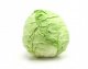 cabbage usda Nutrition info