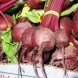 beets usda Nutrition info