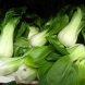 cabbage, chinese (pak-choi)