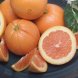 cara cara oranges citrus