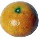honey tangerine citrus