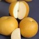 asian pears fresh fruits