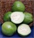 Melissas guavas fresh fruits Calories