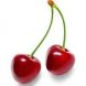 Melissas bing cherries fresh fruits Calories