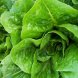 lettuce, cos or romaine usda Nutrition info