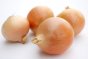onions usda Nutrition info