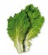 lettuce, green leaf usda Nutrition info