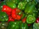 peppers, sweet, green, sauteed