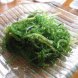 seaweed, laver