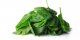 spinach usda Nutrition info