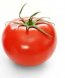 tomatoes, red, ripe, year round average usda Nutrition info