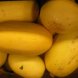 squash, winter, spaghetti, cooked, boiled, drained, or baked, without salt