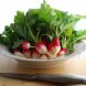 radishes, white icicle usda Nutrition info