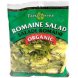 romaine salad