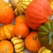 squash, winter, all varieties, cooked, baked, without salt