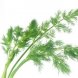 dill weed, fresh usda Nutrition info