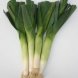 leeks, (bulb and lower leaf-portion), cooked, boiled, drained, with salt