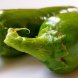 peppers, chili, green, canned usda Nutrition info