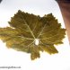 grape leaves usda Nutrition info