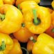 peppers, sweet, yellow