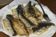 sardine, atlantic, canned in oil, drained solids with bone