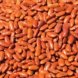 beans, kidney, royal red, mature seeds, cooked, boiled, without salt