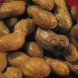 peanuts, all types, cooked, boiled, with salt