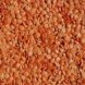 lentils, mature seeds, cooked, boiled, without salt usda Nutrition info