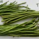 yardlong beans, mature seeds, cooked, boiled, without salt