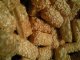 snacks, sesame sticks, wheat-based, unsalted