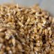 wheat, sprouted