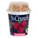 mild lowfat yogurt with granola, raspberry