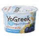 yogreek yogurt greek, blueberry + granola, 0% milk fat