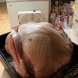turkey, young hen, meat and skin and giblets and neck