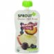 Sprouts blueberry superfruit Calories
