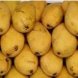 SunFresh mango Calories