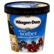 Haagen Dazs cranberry blueberry sorbet Calories