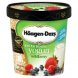 Haagen Dazs wildberry lowfat frozen yogurt Calories